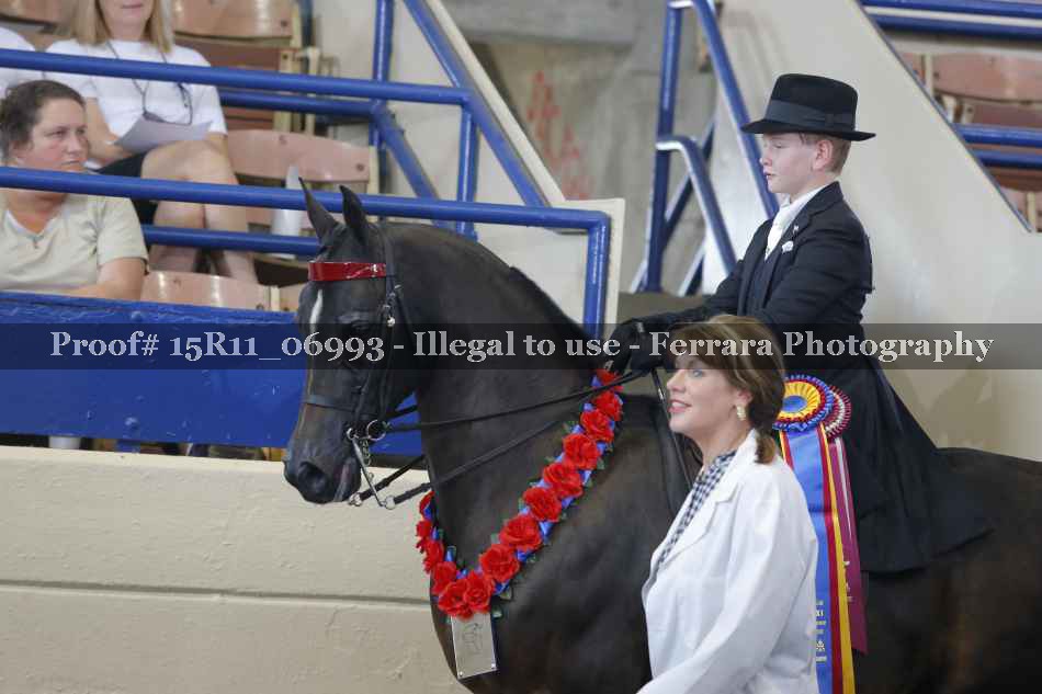 Proof 15R11_06993