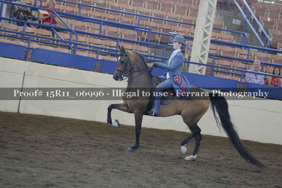 Proof 15R11_06996