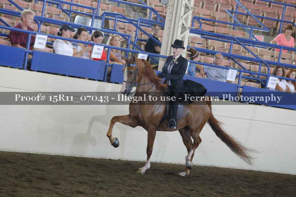 Proof 15R11_07043