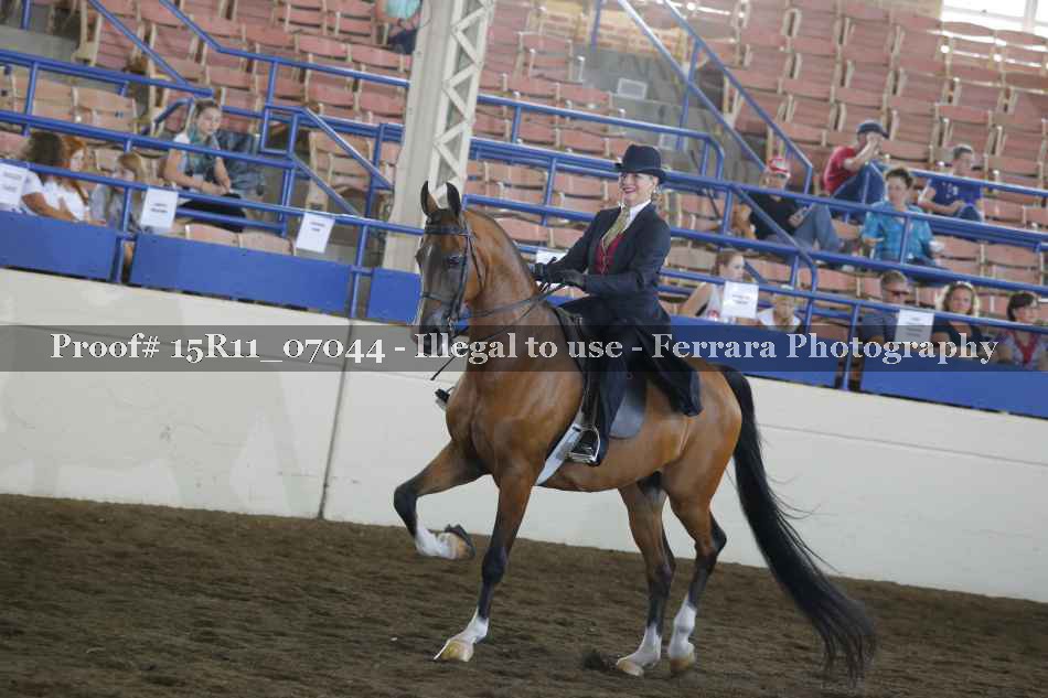 Proof 15R11_07044