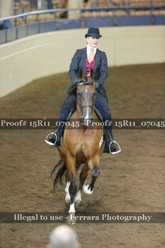 Proof 15R11_07045