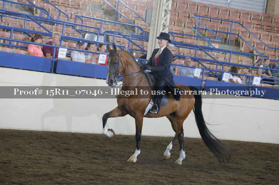 Proof 15R11_07046