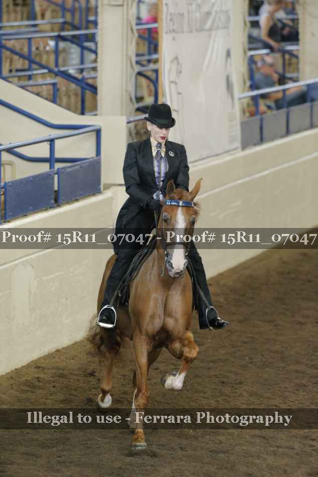 Proof 15R11_07047