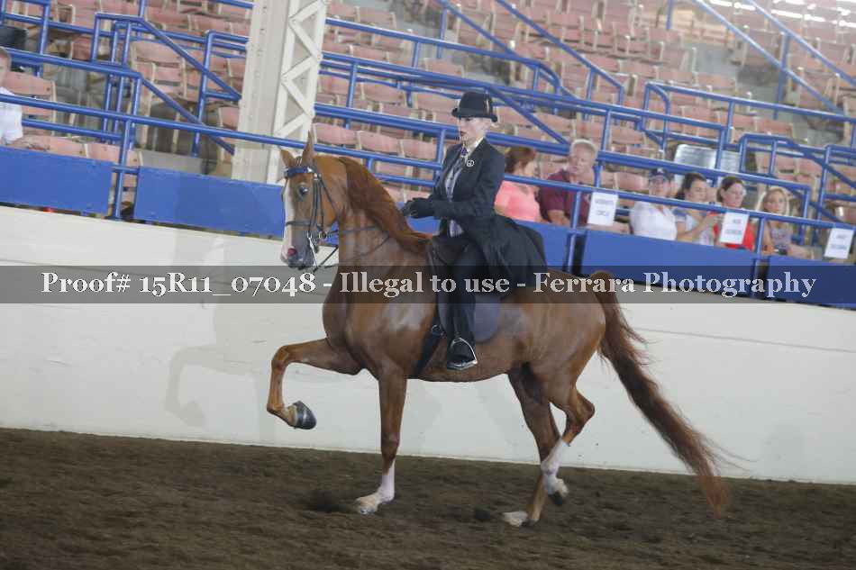 Proof 15R11_07048