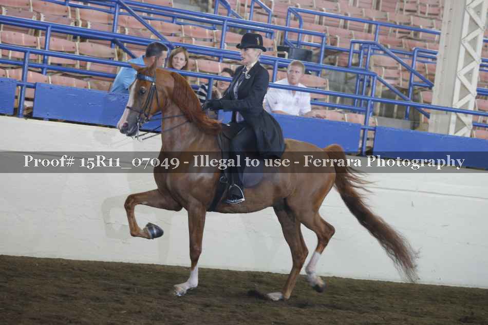 Proof 15R11_07049