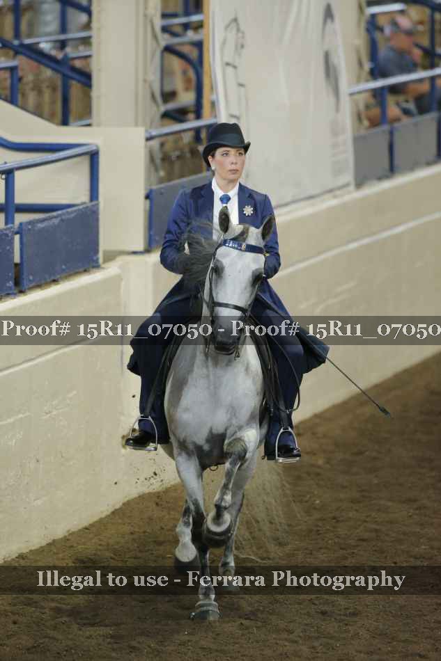 Proof 15R11_07050