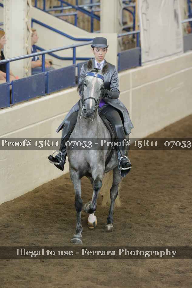 Proof 15R11_07053