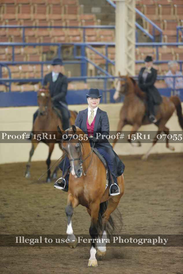 Proof 15R11_07055