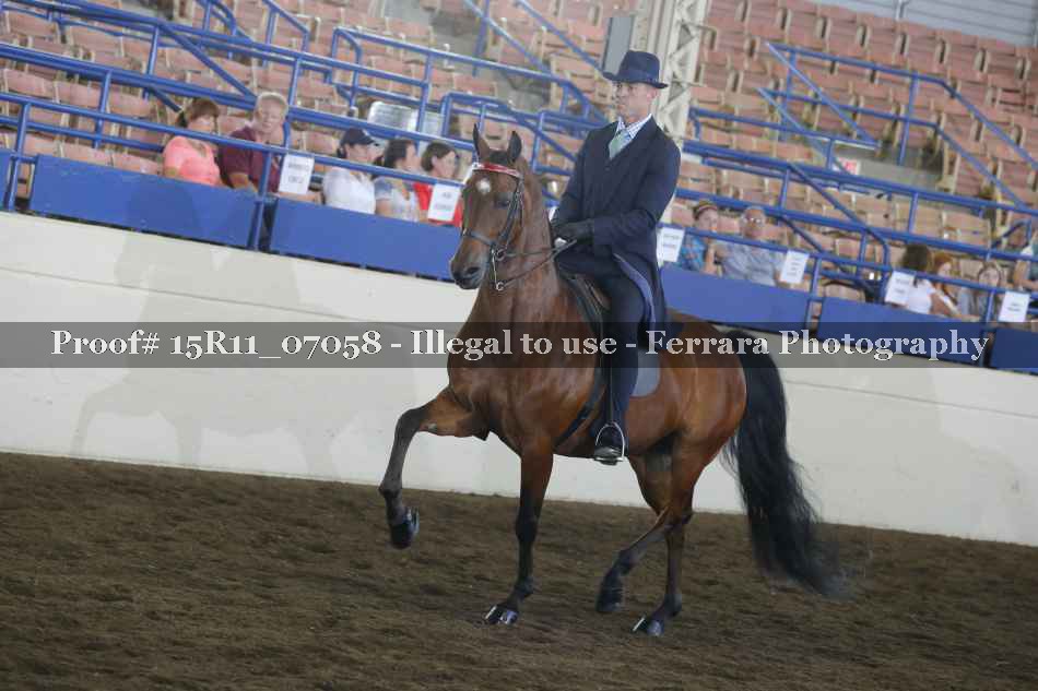 Proof 15R11_07058