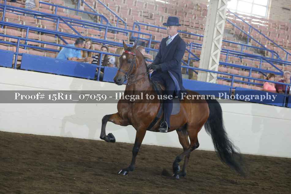 Proof 15R11_07059