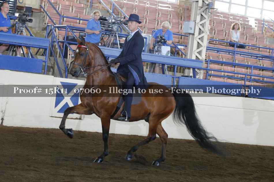 Proof 15R11_07060