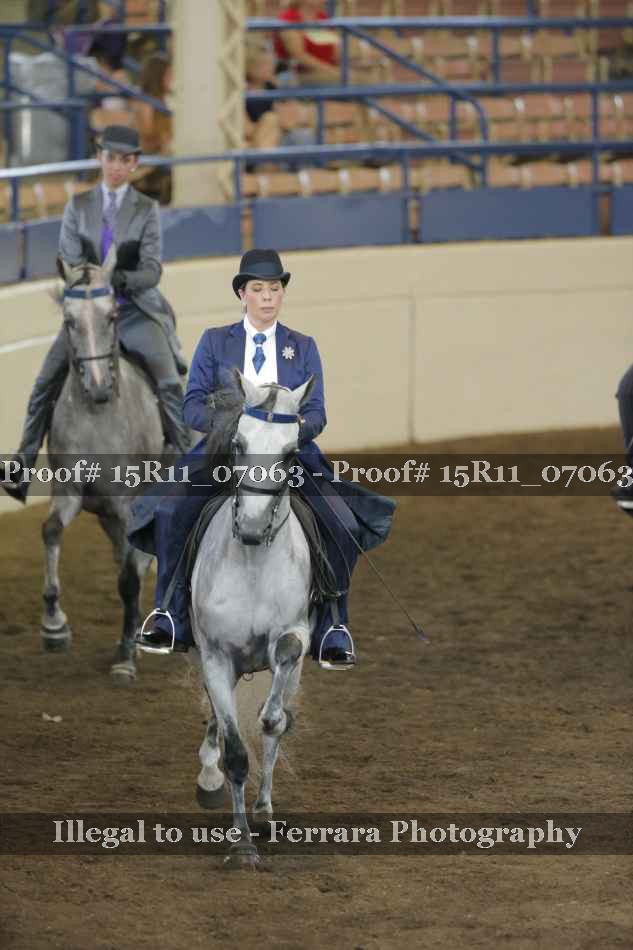 Proof 15R11_07063