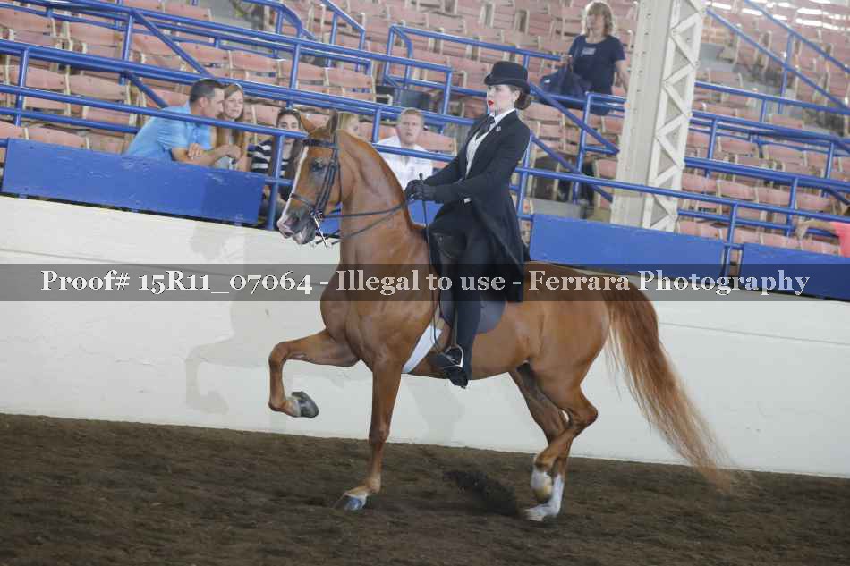 Proof 15R11_07064