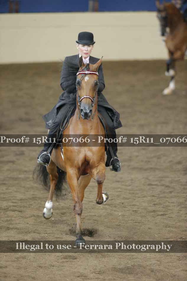 Proof 15R11_07066