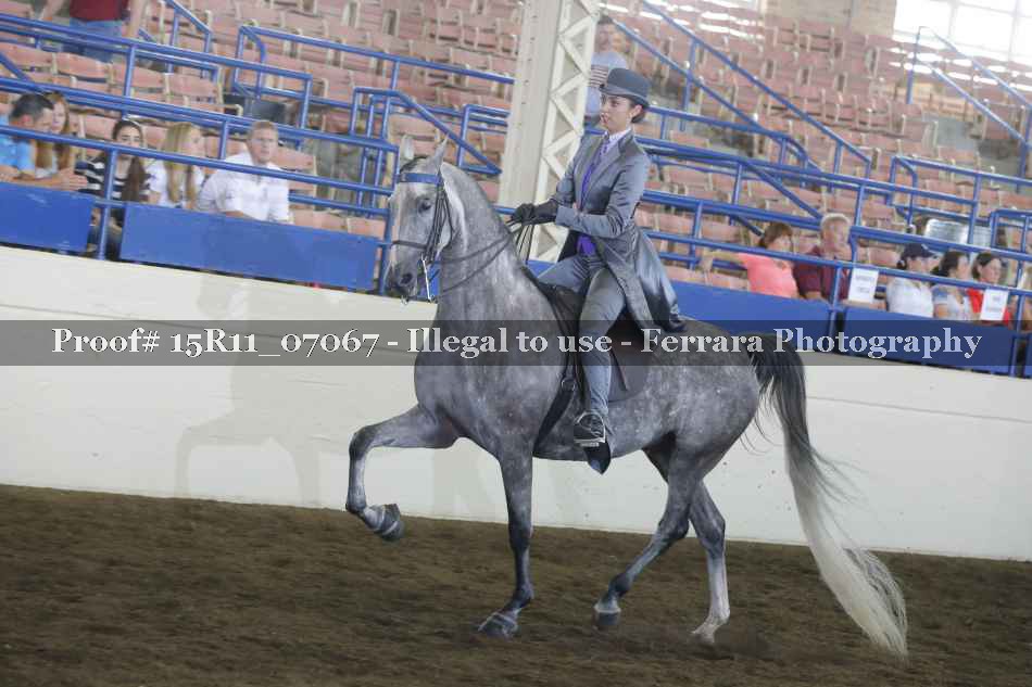 Proof 15R11_07067
