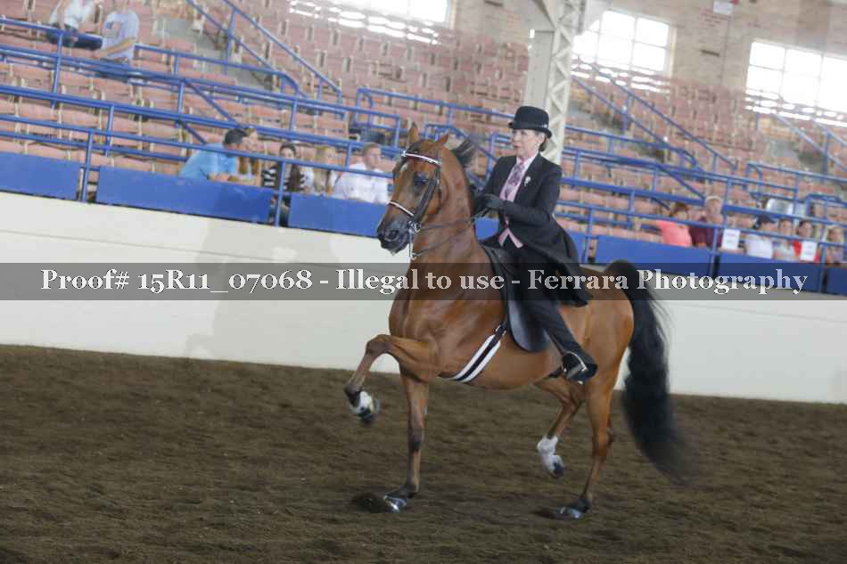 Proof 15R11_07068