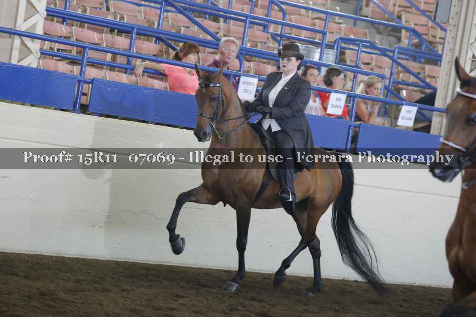 Proof 15R11_07069
