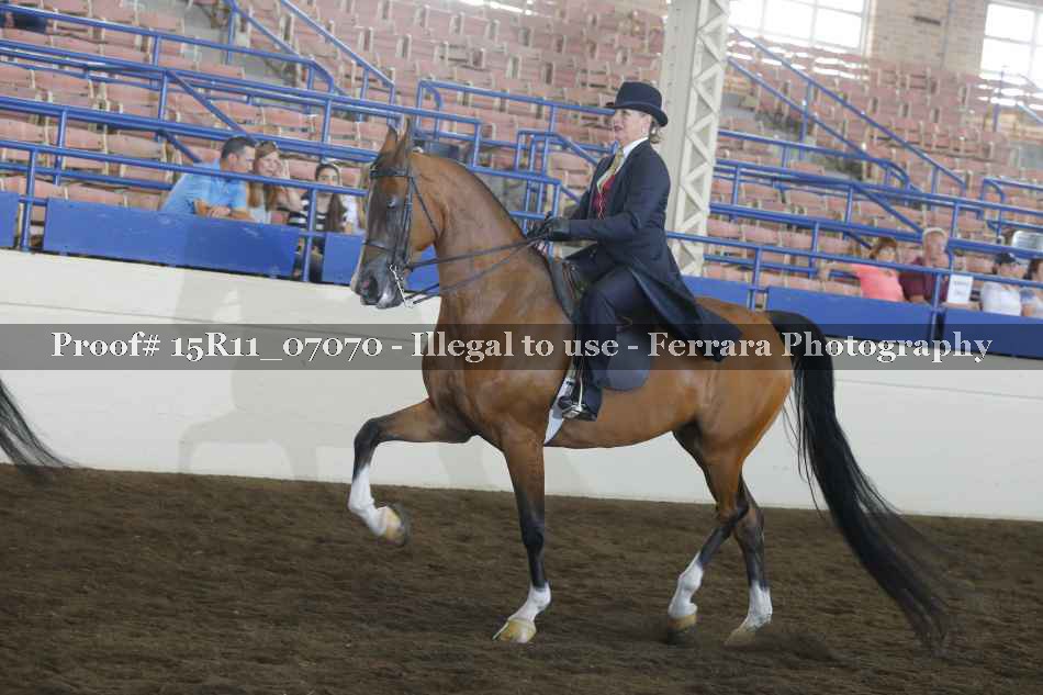 Proof 15R11_07070