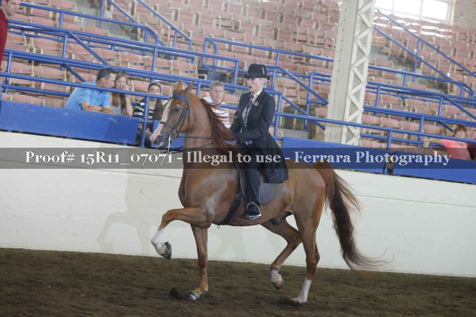 Proof 15R11_07071