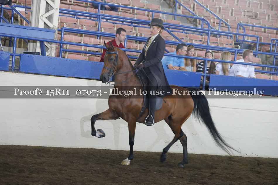 Proof 15R11_07073