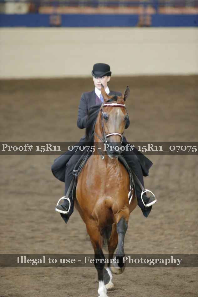 Proof 15R11_07075