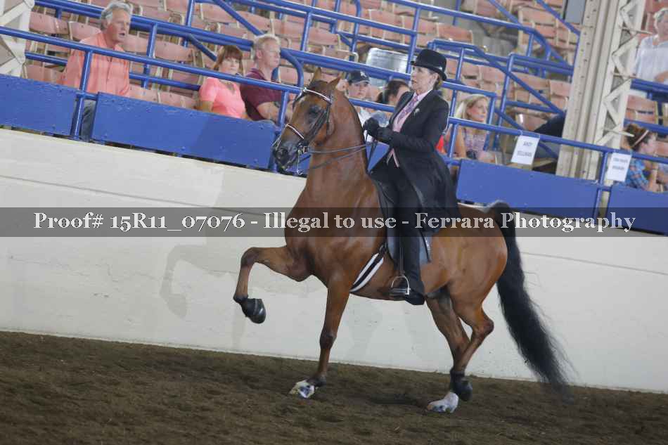 Proof 15R11_07076