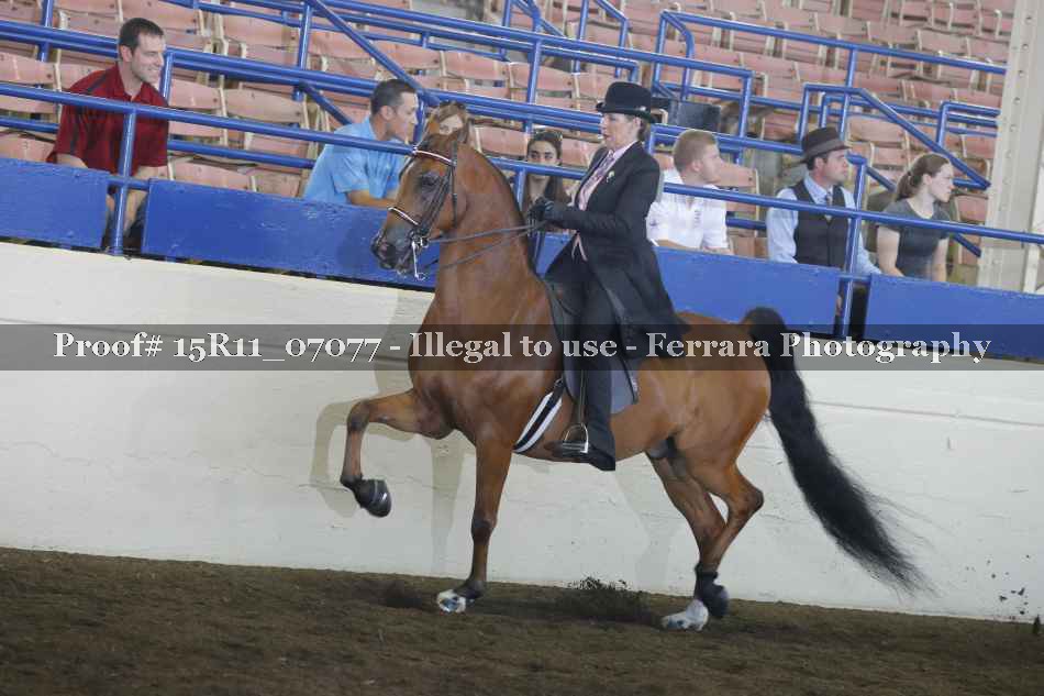 Proof 15R11_07077