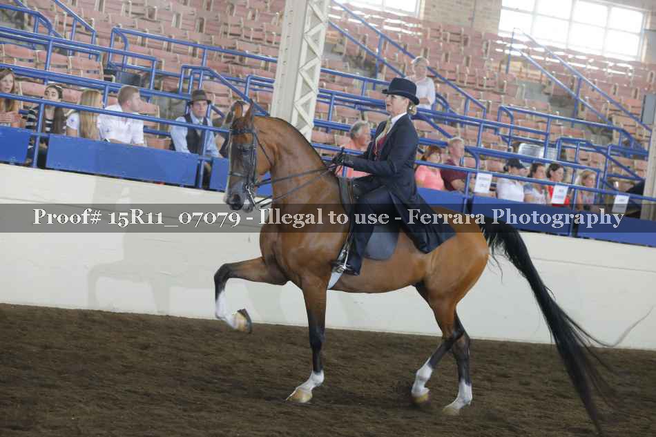 Proof 15R11_07079