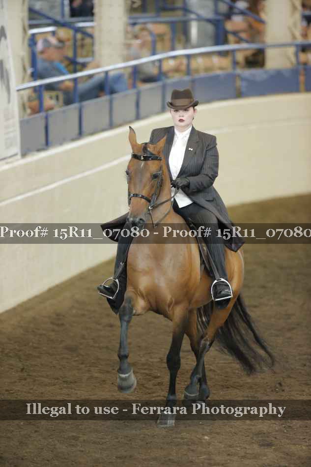 Proof 15R11_07080