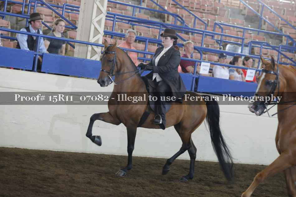 Proof 15R11_07082