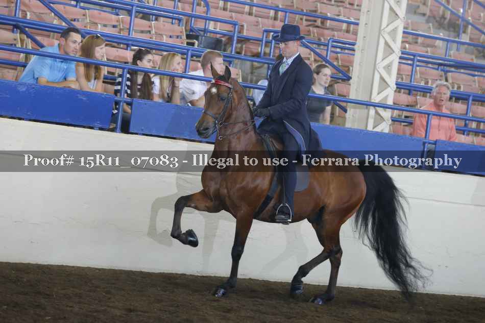 Proof 15R11_07083