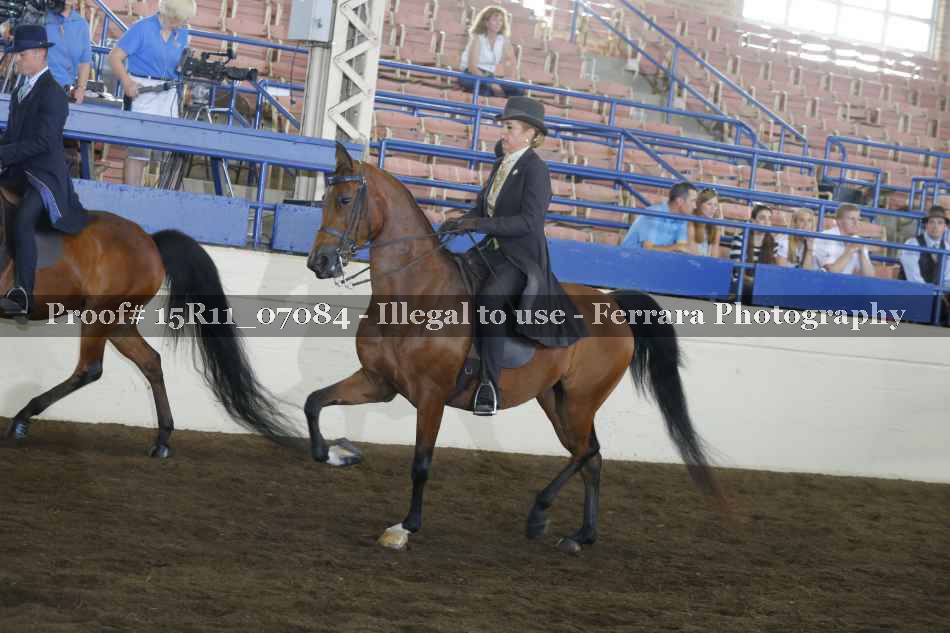 Proof 15R11_07084