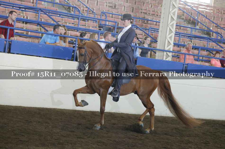 Proof 15R11_07085