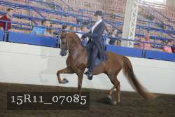 15R11_07085 proof
