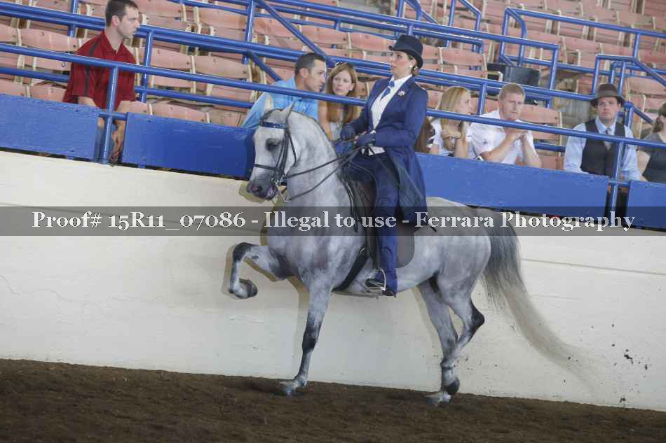 Proof 15R11_07086