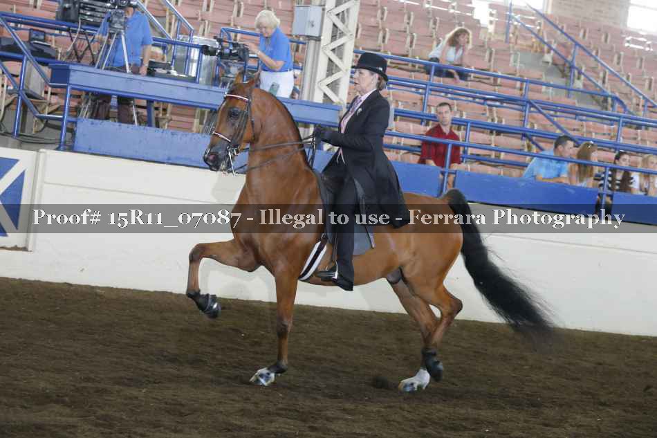Proof 15R11_07087