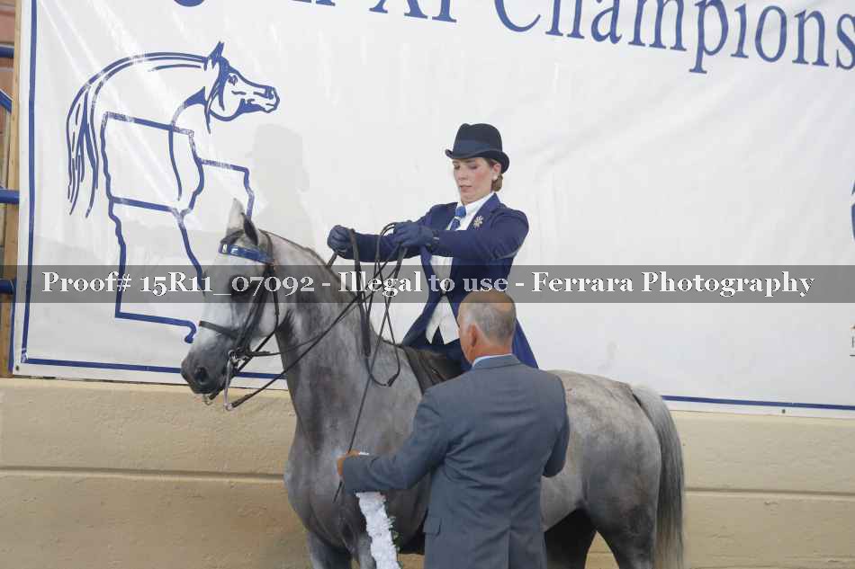 Proof 15R11_07092