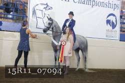 15R11_07094 proof
