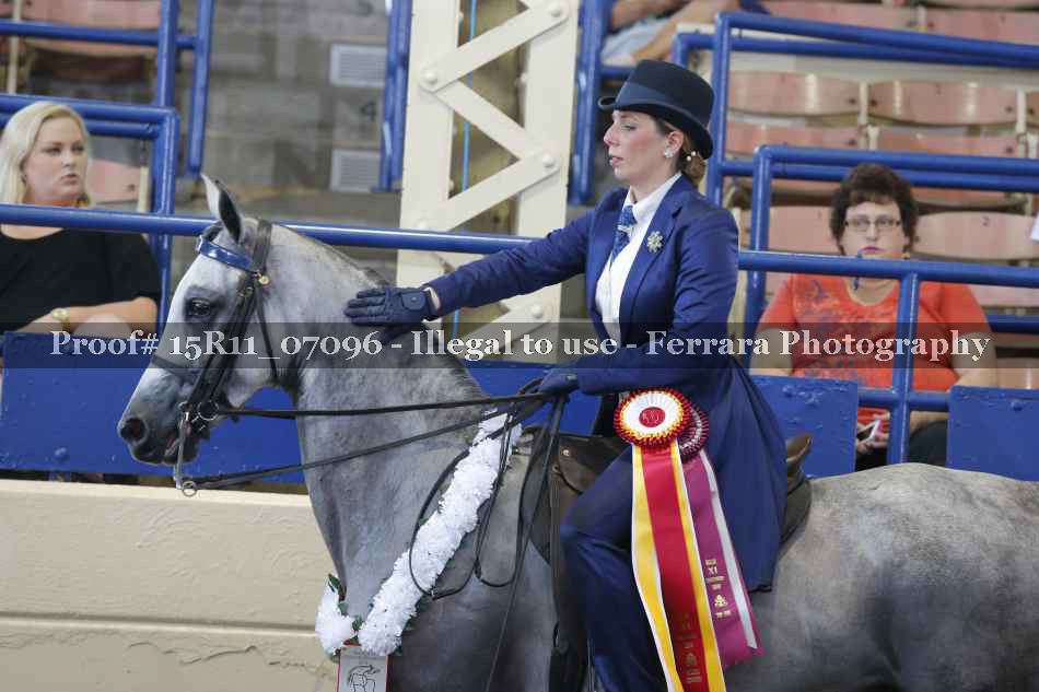 Proof 15R11_07096