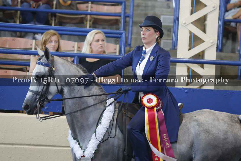 Proof 15R11_07097