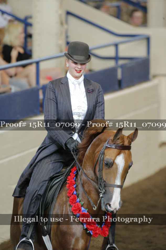 Proof 15R11_07099