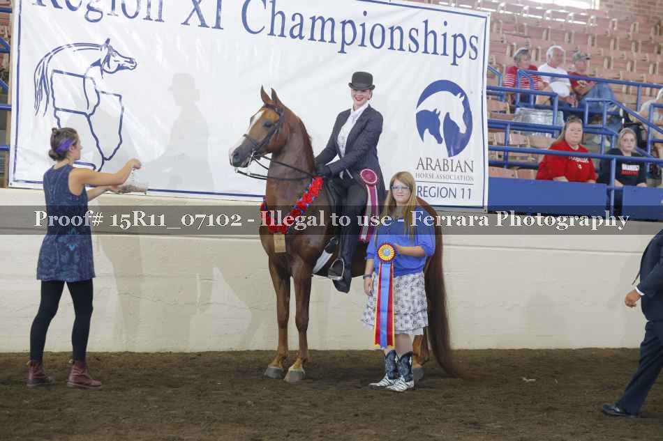 Proof 15R11_07102
