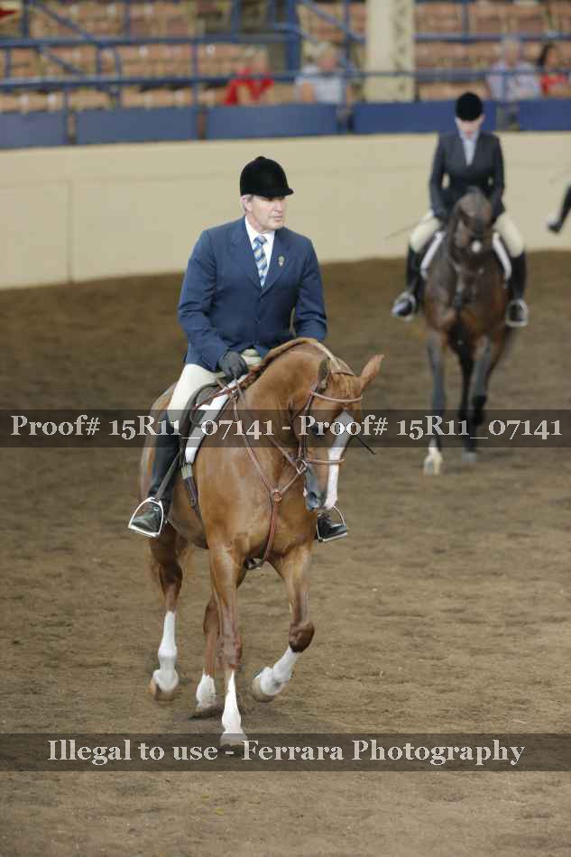 Proof 15R11_07141