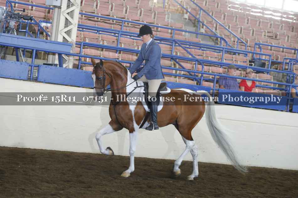 Proof 15R11_07151