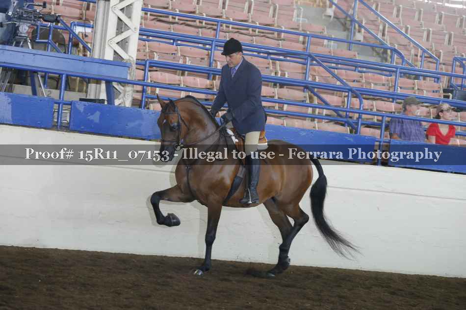Proof 15R11_07153