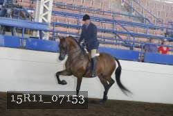 15R11_07153 proof