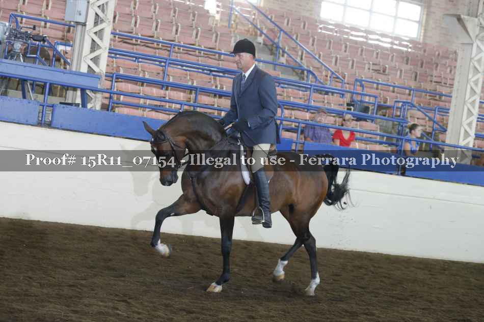 Proof 15R11_07154