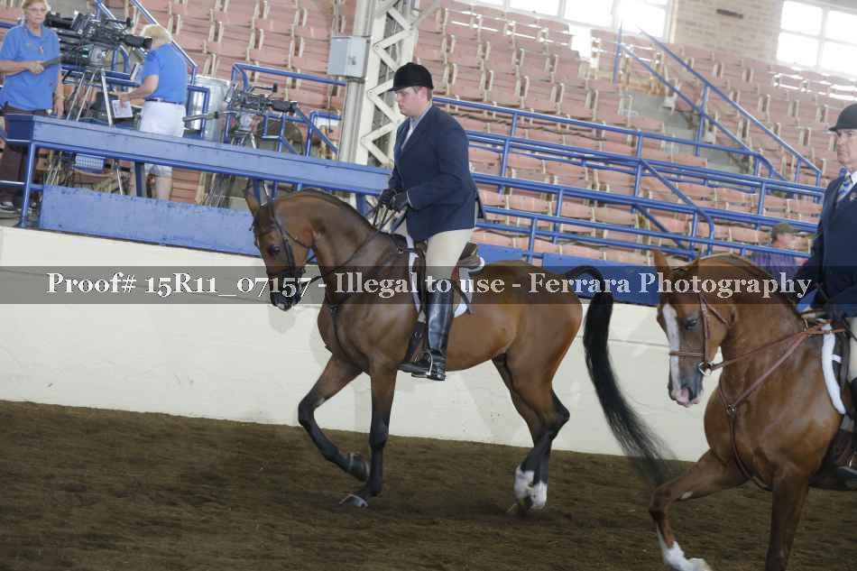 Proof 15R11_07157