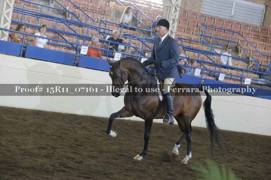 Proof 15R11_07161