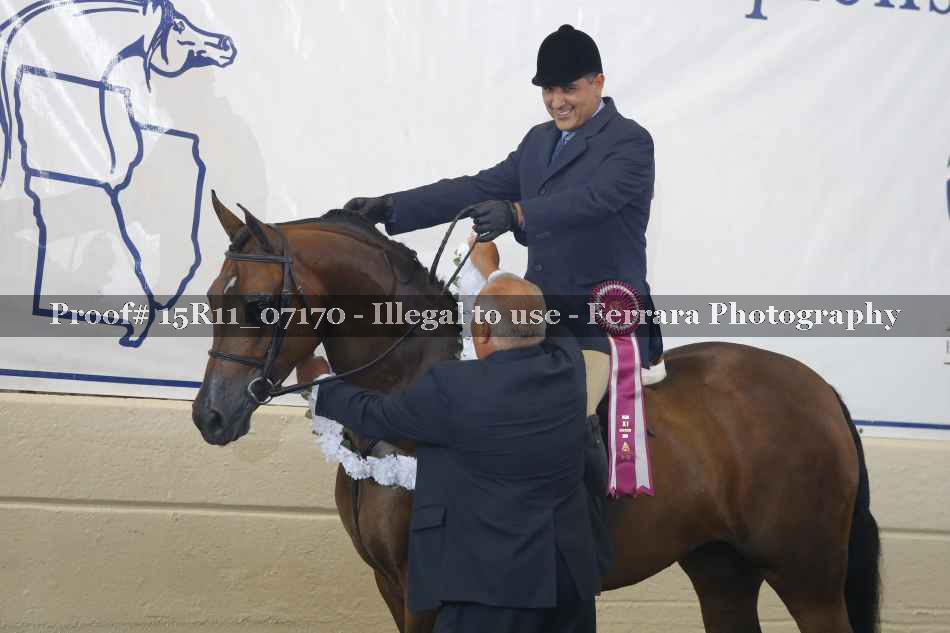 Proof 15R11_07170